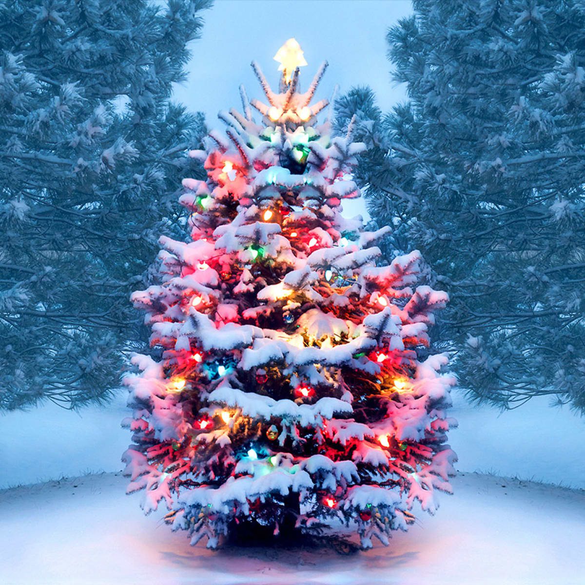Healthy through the Holidays
