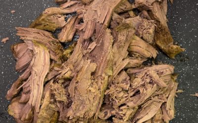 Spanish Style Shredded Beef